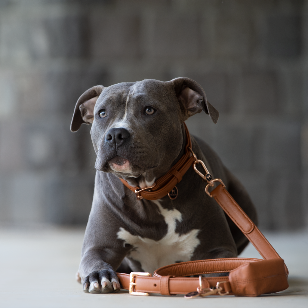 <h3>WASTE BAG POUCH —</h3>