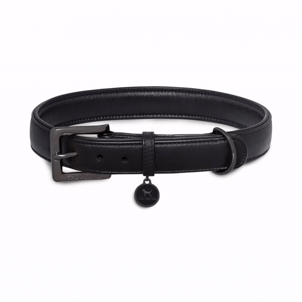 Black top leather collar
